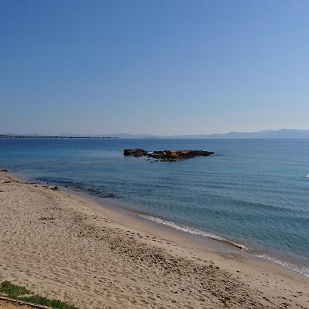 Summerhouse Peggy: Close To Athens Airport By The Sea Луца Экстерьер фото