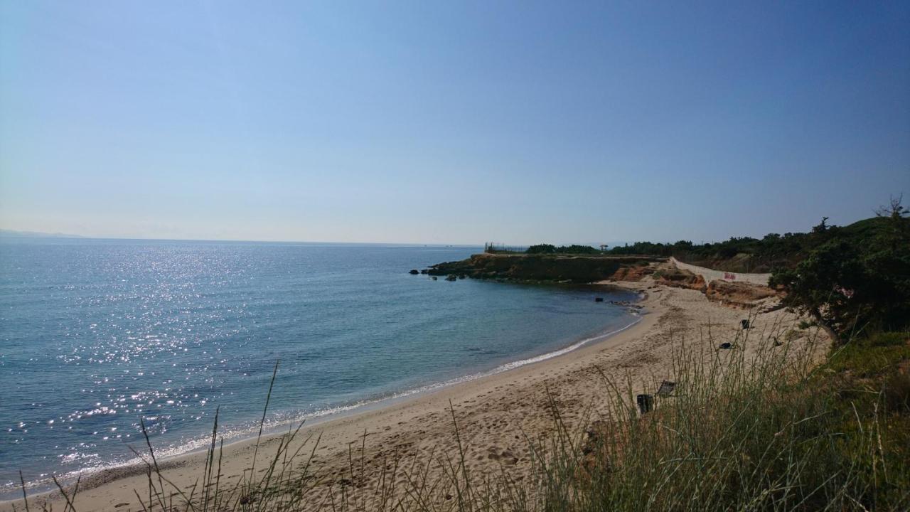 Summerhouse Peggy: Close To Athens Airport By The Sea Луца Экстерьер фото